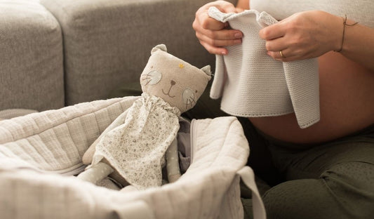 Torba za v porodnišnico